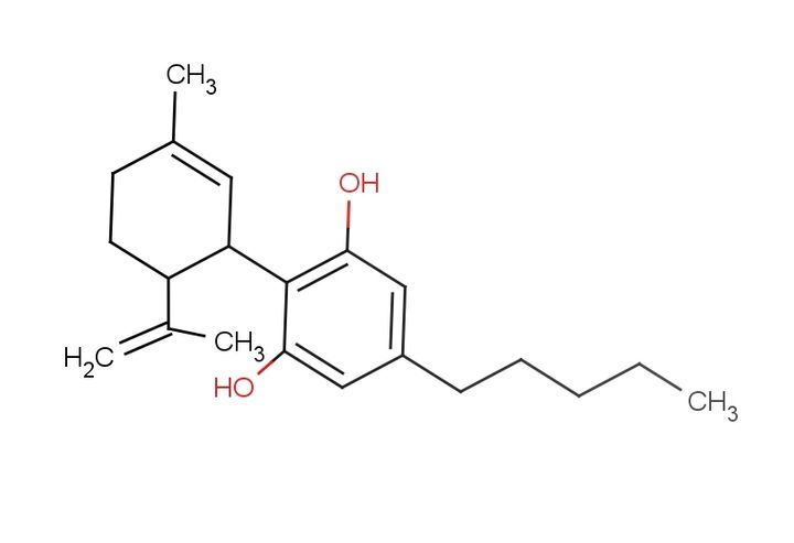 CBD vs THC: Whats the Difference?