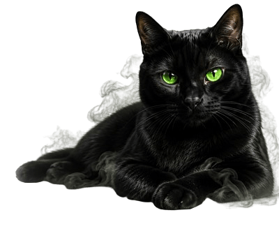 smokingcats.com newsletter